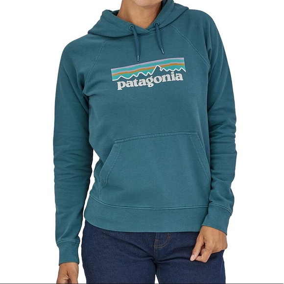Patagonia Tops - Patagonia Blue Logo Hoodie Sweatshirt